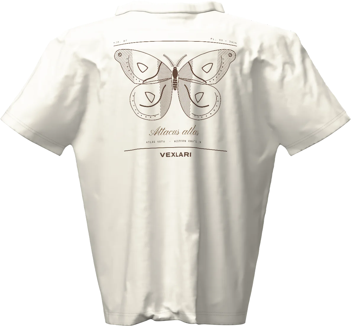 Atlas Moth Oversized Tee