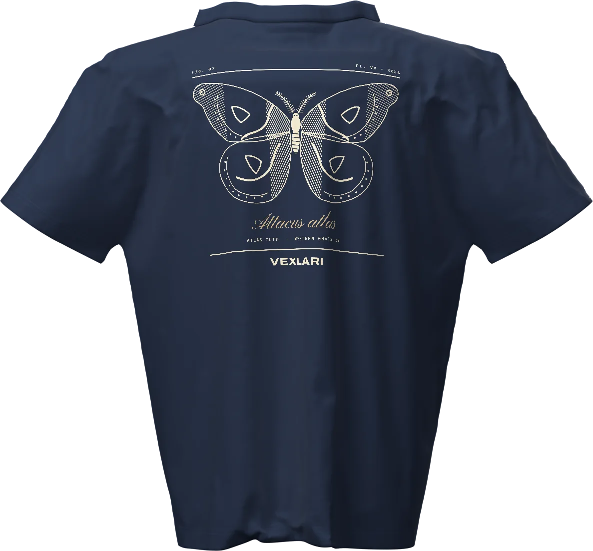 Atlas Moth tee in Navy, back